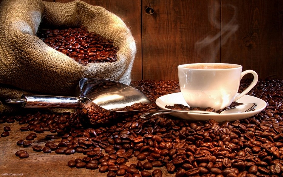 Giá cà phê hôm nay, ngày 25/5: Giá cà phê trong nước trên 60.000 đồng/kg