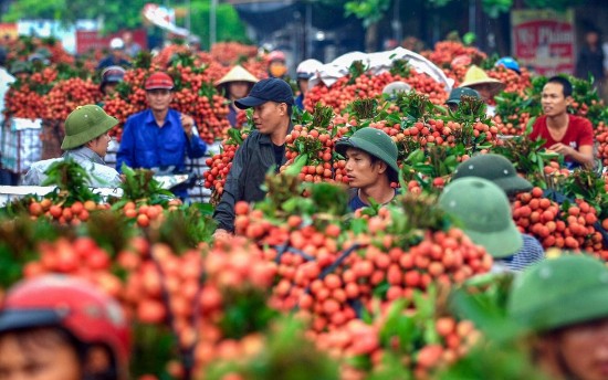 Ngày 7/9, Báo Công Thương tổ chức tọa đàm “Kết nối thông tin, tìm đầu ra cho nông sản vùng dân tộc thiểu số và miền núi”