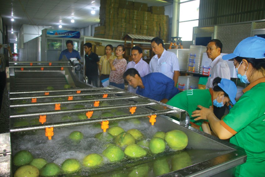 Tỉnh Đồng Tháp: 3 giải pháp hỗ trợ sản phẩm công nghiệp nông thôn tiêu biểu