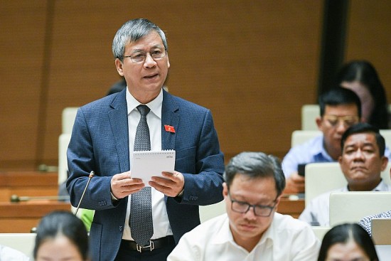 Đại biểu Quốc hội: "Hầu hết tỷ phủ giàu lên rất nhanh nhờ đất hoặc liên quan đến đất"