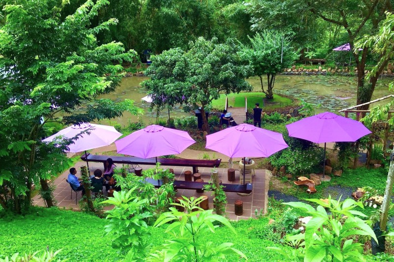 Đắk Lắk: Phát triển du lịch sinh thái nông nghiệp gắn với xây dựng nông thôn mới