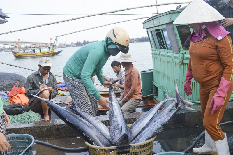 Thực hiện quy định gỡ