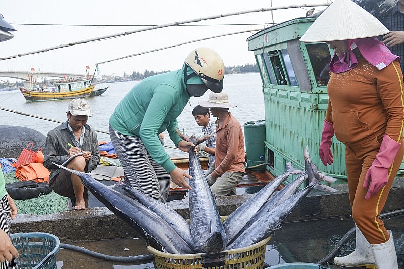 Thủ tướng yêu cầu chấm dứt tình trạng tàu cá khai thác bất hợp pháp trước ngày 31/3/2023