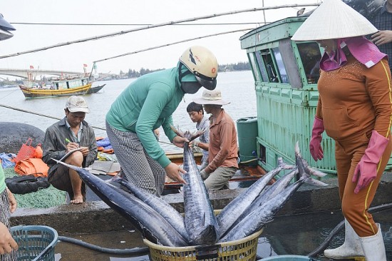 Thực hiện quy định gỡ