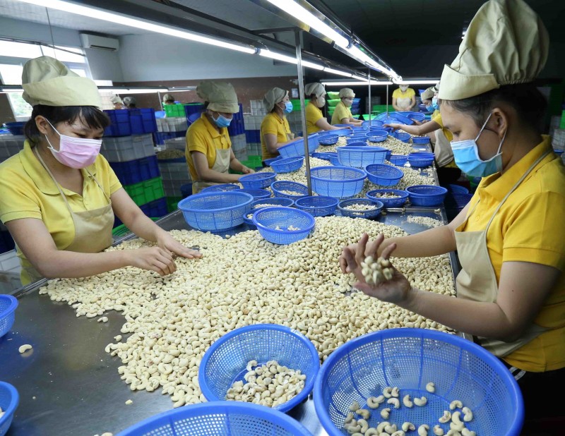 Thực thi Hiệp định CPTPP: Doanh nghiệp chủ động hơn trong cải thiện năng lực cạnh tranh