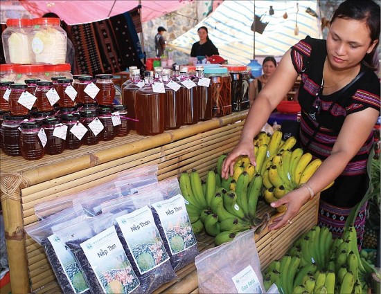 Chuối già lùn A Lưới - thương hiệu nông sản sạch, an toàn