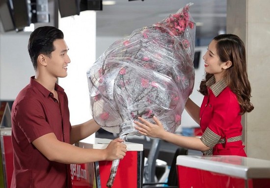 Mang Xuân về nhà, Vietjet vận chuyển mai, đào Tết Quý Mão 2023