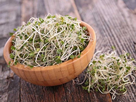 Giá đỗ - thực phẩm tốt cho người bệnh tiểu đường