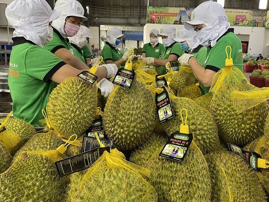 Xuất khẩu rau quả "bùng nổ" trong năm 2023