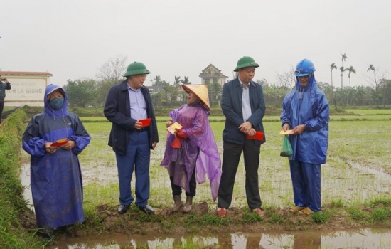 Lãnh đạo tỉnh Quảng Trị ra tận ruộng lì xì cho nông dân