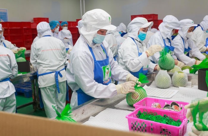 Nghị quyết 01: Bộ Nông nghiệp phấn đấu xuất khẩu nông lâm thủy sản đạt từ 54 - 55 tỷ USD