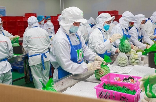 Nghị quyết 01: Bộ Nông nghiệp phấn đấu xuất khẩu nông lâm thủy sản đạt từ 54 - 55 tỷ USD