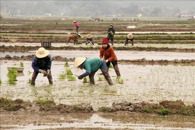 Ngày 1/2/2023: Xả nước đợt 2 vụ Đông Xuân trong 8 ngày