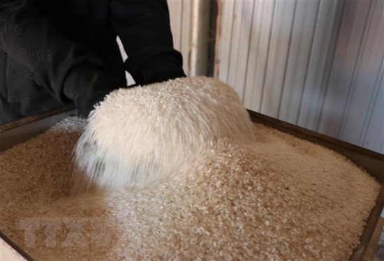 Giá lúa gạo hôm nay 5/4: Nhu cầu cao từ Trung Quốc, giá gạo tiếp tục tăng 100 đồng/kg
