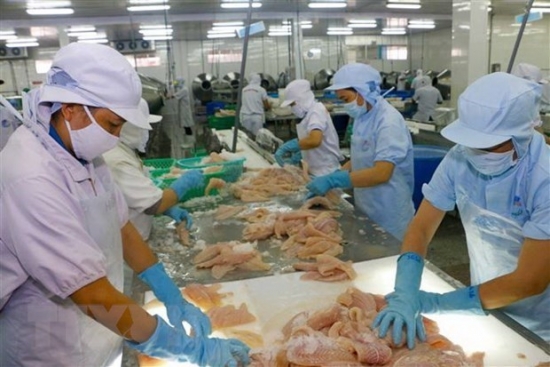 Bắt nhịp để xúc tiến thương mại hiệu quả sang thị trường Hàn Quốc