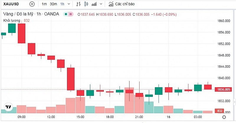 Giá vàng hôm nay 16/2: Lao dốc, vàng JSC giảm xuống mốc 67,40 triệu đồng