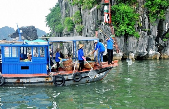 giam thieu rac thai nhua tu hoat dong du lich