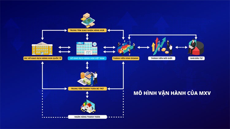 Hỏi đáp Giao dịch Hàng hóa (Số 2): Phân biệt Sở Giao dịch Hàng hóa và Sàn thương mại điện tử