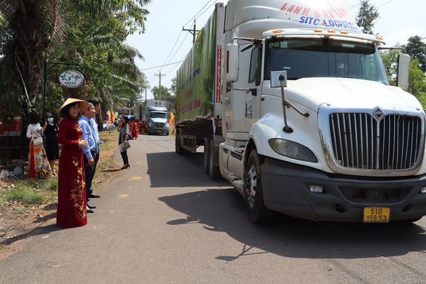 Đồng Nai xuất khẩu lô chuối tươi đầu năm qua thị trường Trung Quốc