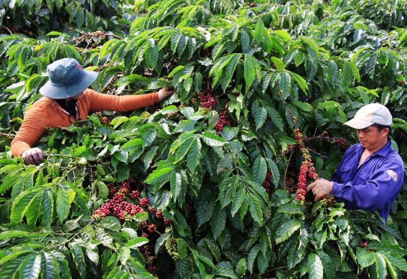 Đắk Lắk: Ủy ban Thường vụ Quốc hội thông qua thành lập thị trấn Pơng Drang