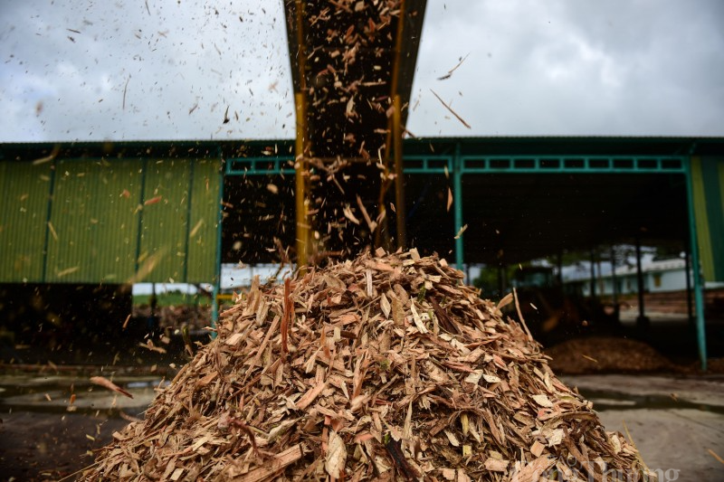 Tái sử dụng phế liệu trong chế biến gỗ: Giúp doanh nghiệp tăng lợi nhuận