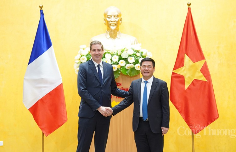 Bộ trưởng Nguyễn Hồng Diên làm việc với Bộ trưởng đặc trách Ngoại thương Pháp