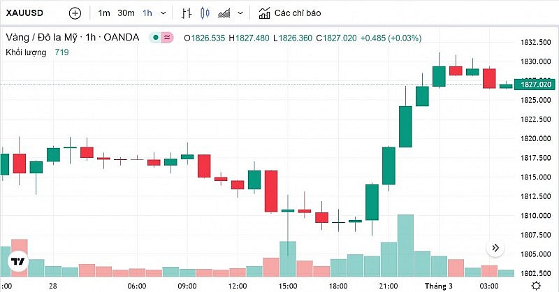 Chú thích: Biểu đồ biến động giá vàng trong 24 giờ qua
