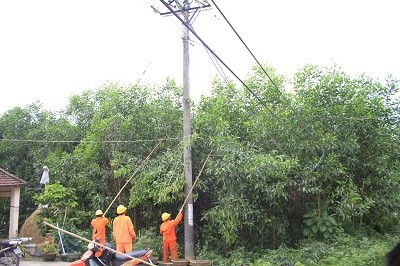 79 vụ tai nạn do vi phạm an toàn hành lang lưới điện năm 2022, EVN khuyến cáo