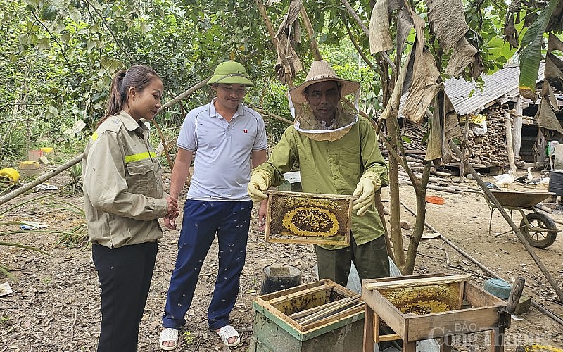 Về nơi nuôi ong lấy mật