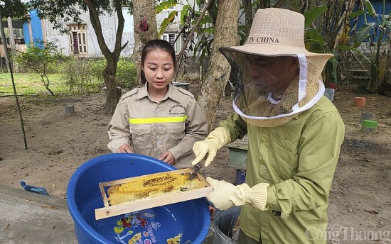 Về nơi nuôi ong lấy mật