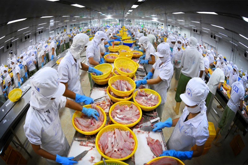 Xuất khẩu thực phẩm chế biến sang thị trường Hàn Quốc: Lưu ý 4 xu hướng tiêu dùng