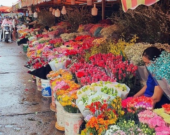 Không khí lạnh suy yếu, miền Bắc có mưa phùn trong ngày 8/3
