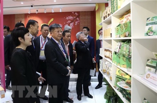 Doanh nghiệp Việt Nam và Singapore kết nối giao thương