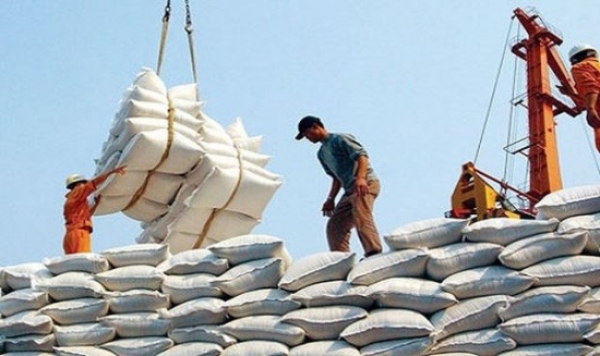 Giá gạo xuất khẩu 2 tháng đầu năm tăng gần 10%