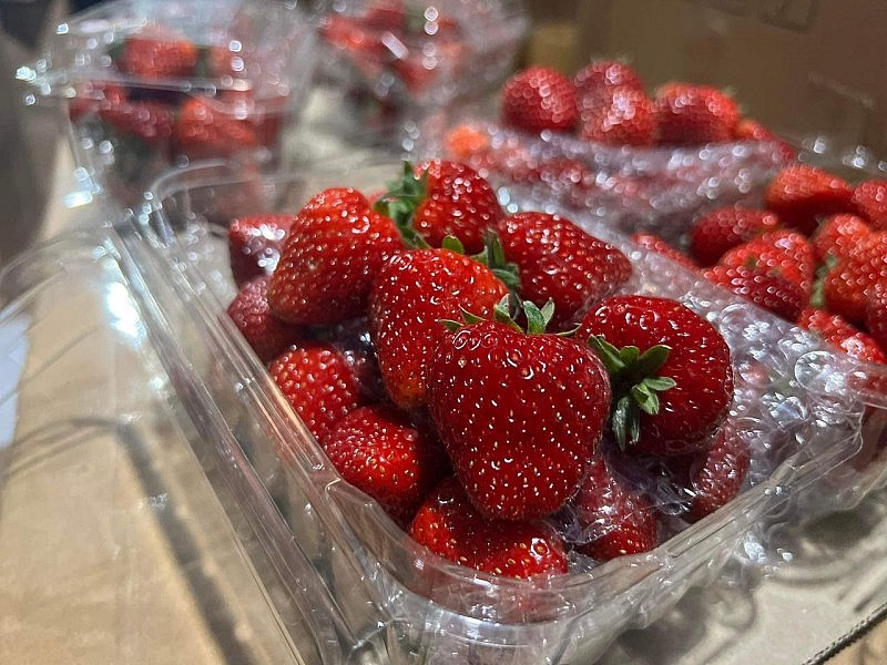 Không còn là mặt hàng xa xỉ, cao cấp, những trái dâu tây được bán với giá siêu rẻ mấy ngày qua đã có mặt trên các tuyến phố Hà Nội và cả những chợ online.