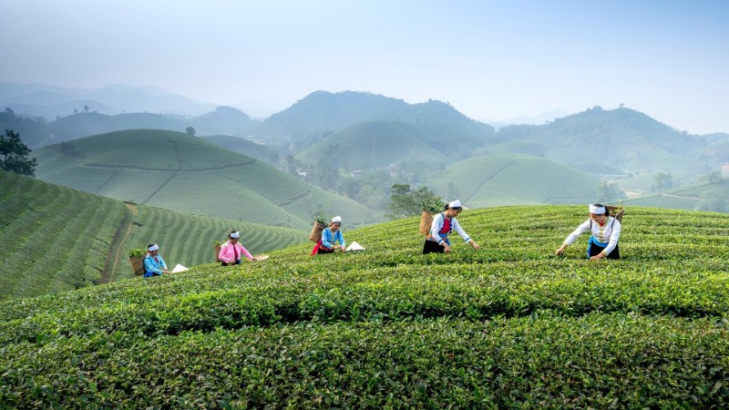 Đây là thời điểm quan trọng để thay đổi tư duy về du lịch nông nghiệp, nông thôn