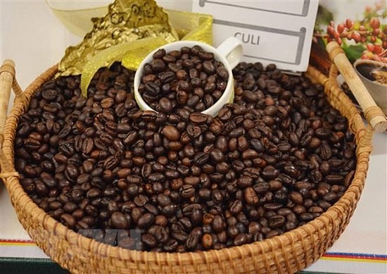 Việt Nam là nhà cung cấp cà phê lớn nhất cho Tây Ban Nha