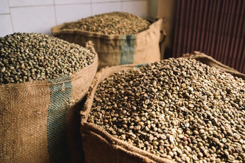 Việt Nam đứng thứ 2 thế giới về xuất khẩu cà phê, chỉ sau Brazil.