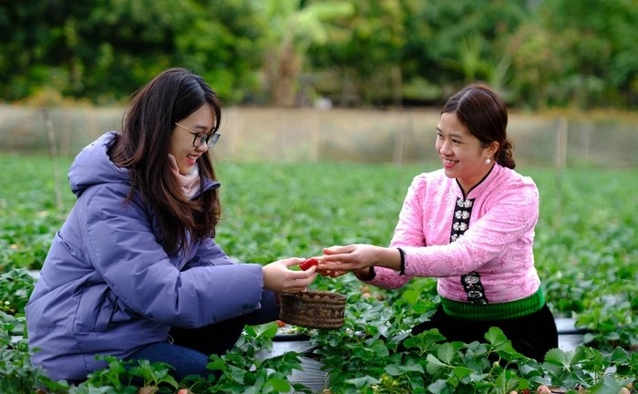 Phát động cuộc thi Phụ nữ khởi nghiệp năm 2023