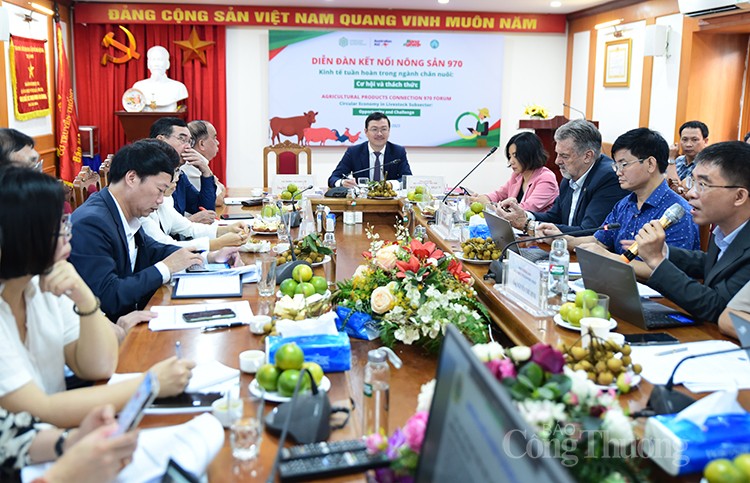Chăn nuôi heo theo mô hình kinh tế tuần hoàn thu tỷ suất lợi nhuận lên tới 60%