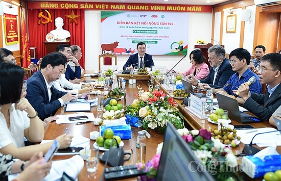 Chăn nuôi heo theo mô hình kinh tế tuần hoàn thu tỷ suất lợi nhuận lên tới 60%