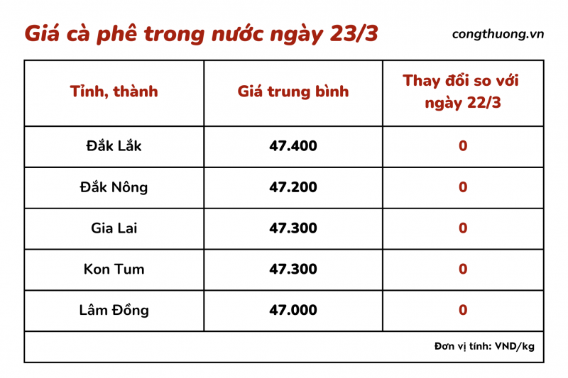 Giá cà phê hôm nay, 23/3: Giá cà phê trong nước tăng 600 đồng/kg