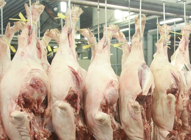 Lào tạm ngừng nhập khẩu thịt lợn từ Việt Nam và một số nước