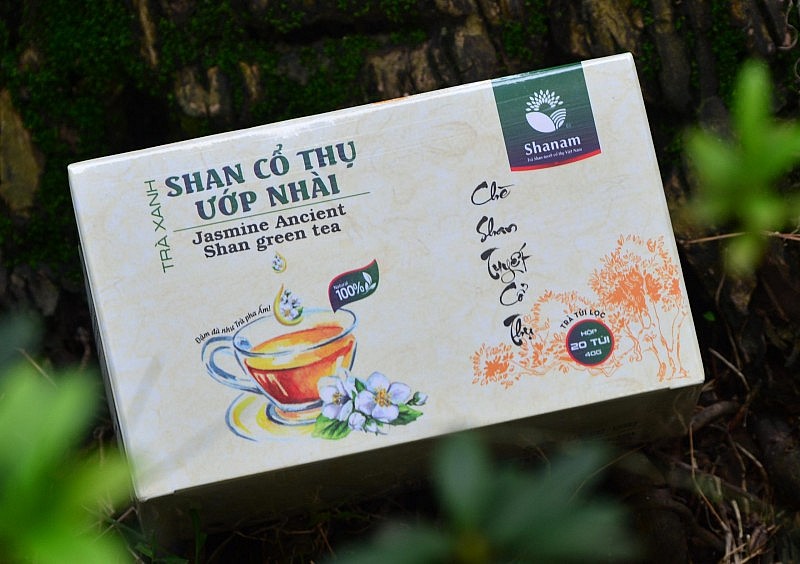 Xây dựng thương hiệu cho nông sản miền núi: Câu chuyện từ trà Shanam