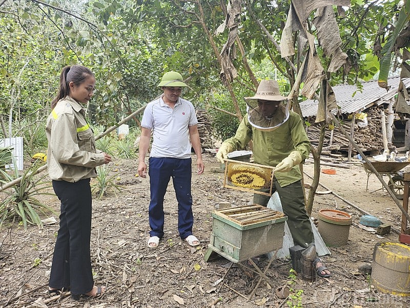 Nghệ An: Hướng đi mới từ nghề nuôi ong lấy mật, mang lại hiệu quả kinh tế cao
