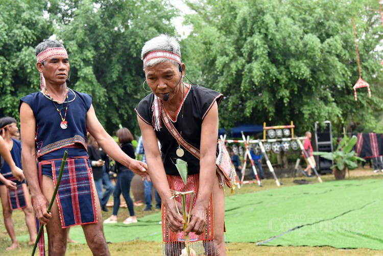 Tinh thần đoàn kết trong Lễ hội cầu an dân tộc Ba Na Tinh thần đoàn kết trong Lễ hội cầu an dân tộc Ba Na