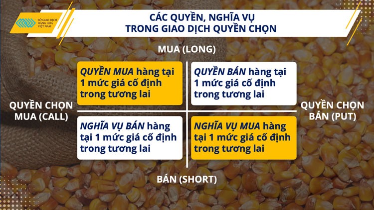 Hỏi đáp Giao dịch Hàng hóa (Số 12): Hợp đồng kỳ hạn tiêu chuẩn và quyền chọn