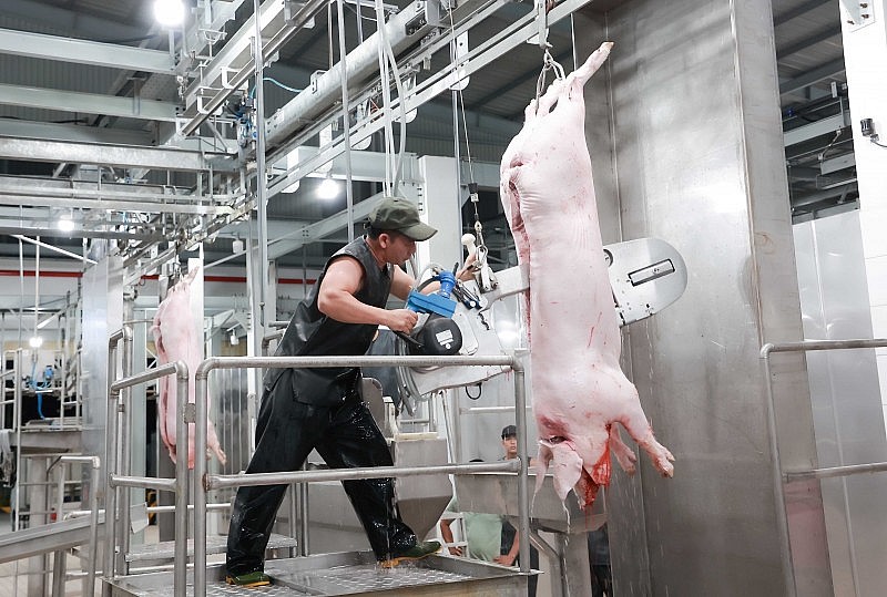 TP.HCM “cấm cửa” các lò giết mổ gia súc thủ công sau ngày 31/3/2023