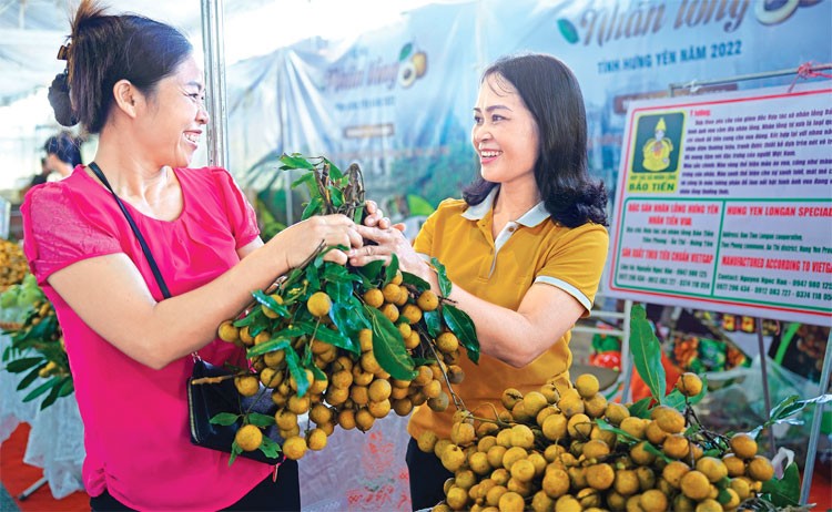 Xúc tiến thương mại: Tập trung đồng bộ các nguồn lực