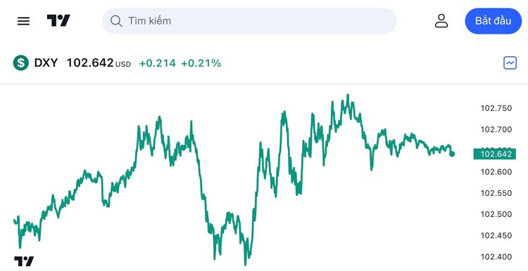 Tỷ giá USD hôm nay: Đồng USD tăng trở lại khi nỗi sợ ngân hàng giảm